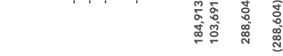  184,913 103,691 288,604 (288,604)